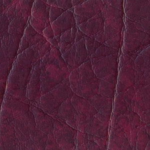 Вишня (Кенвуд)