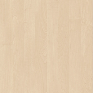 Береза снежная