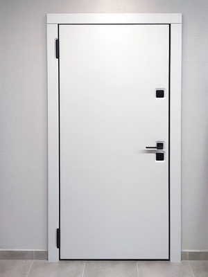 Современные двери в квартиру: работы в феврале